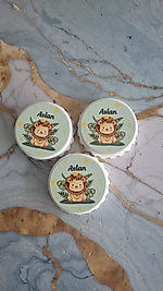 Yuvarlak Kapak Açacak Magnet Aslan