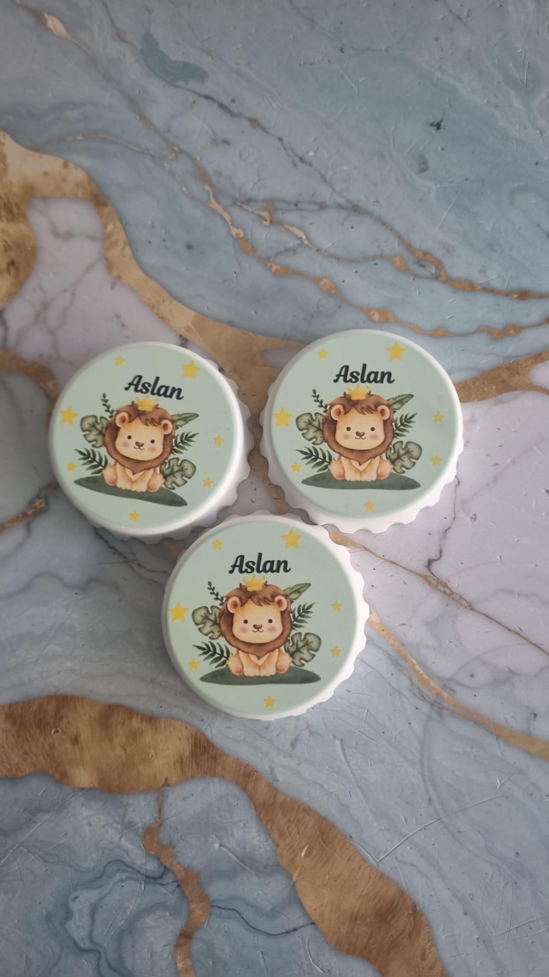 Yuvarlak Kapak Açacak Magnet Aslan